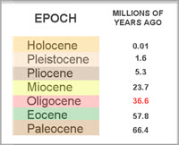 epochs