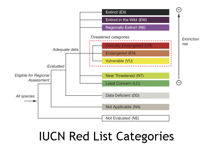 list of iucn endangered categories