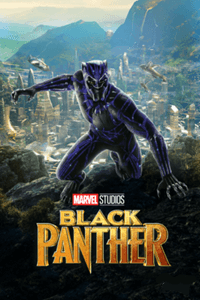 The black panther movie