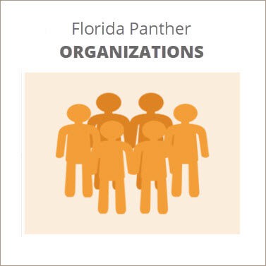 florida panther groups