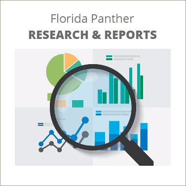 florida panther studies