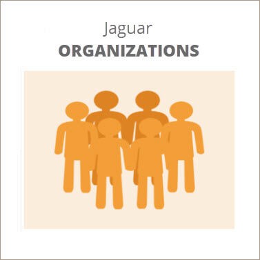 jaguar groups