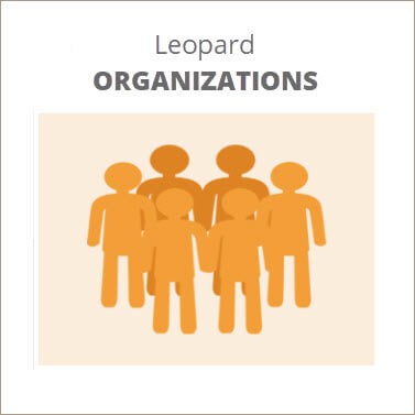 leopard groups