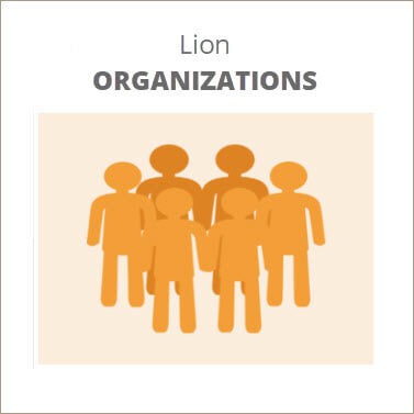 lion groups