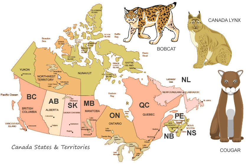 map wild cats canada bobcat, lynx and cougar