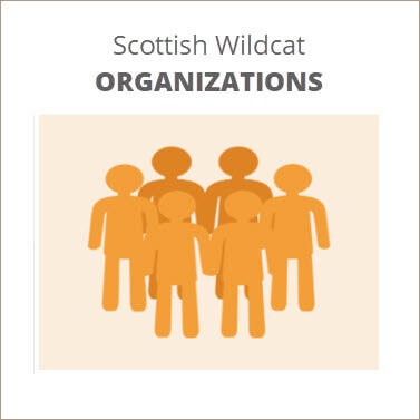 scottish wildcat groups