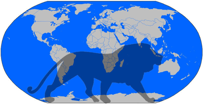 big cats by continent