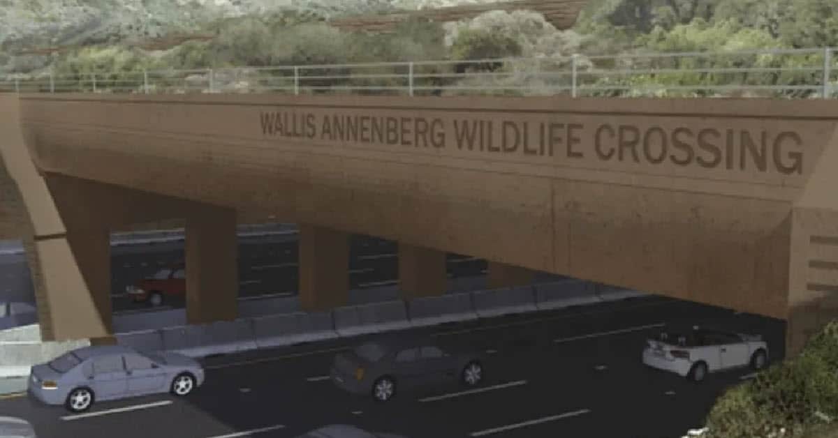 wildlife crossing in Agoura Hills, California