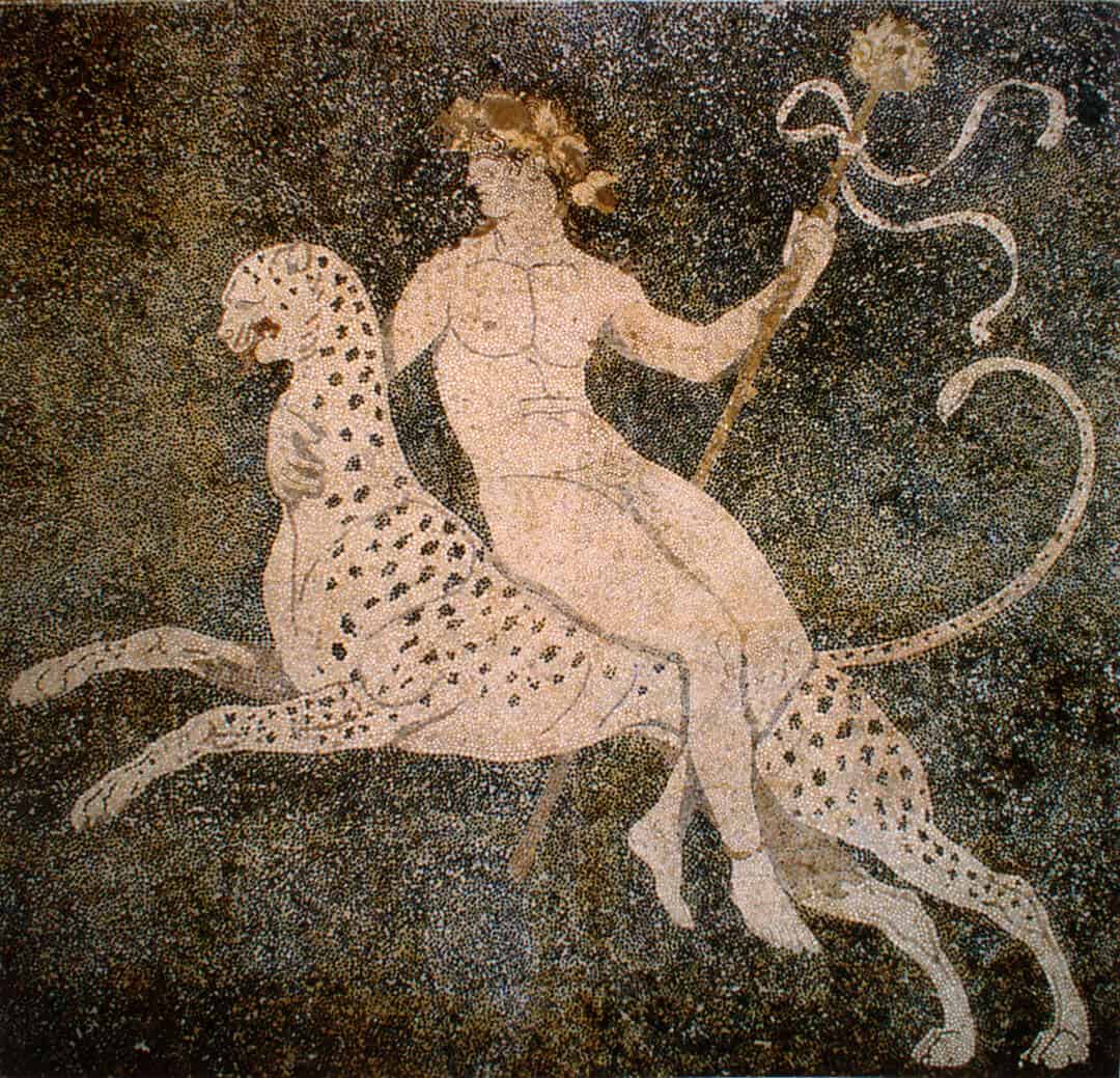 cheetah mosaic greece