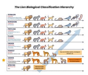 genus classification