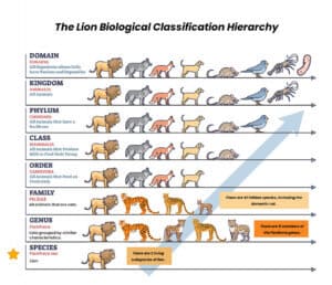 species classification