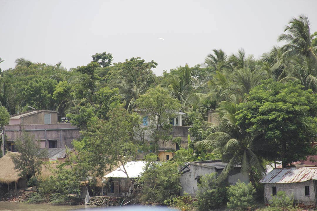 sundarban national park