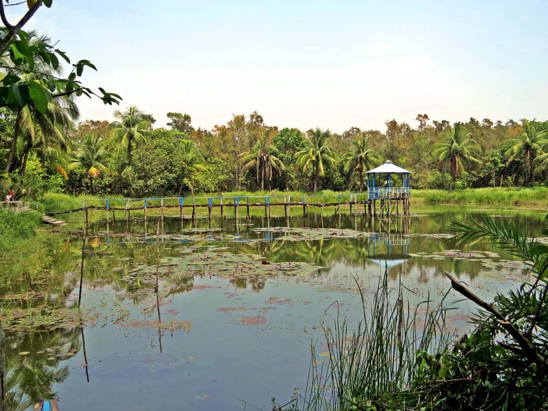 tigers inhabit the Sundarbans region in India