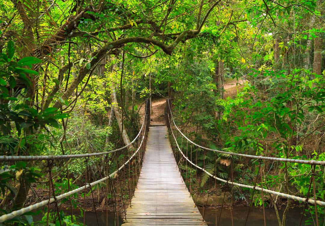 Khao Yai National Park Thailand