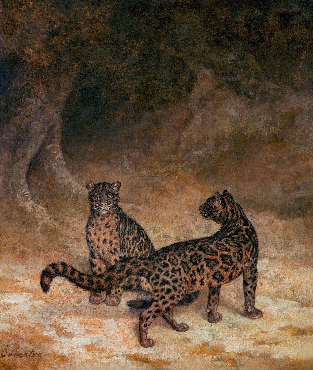 clouded leopards ca 1825 by Jacques-Laurent Agasse