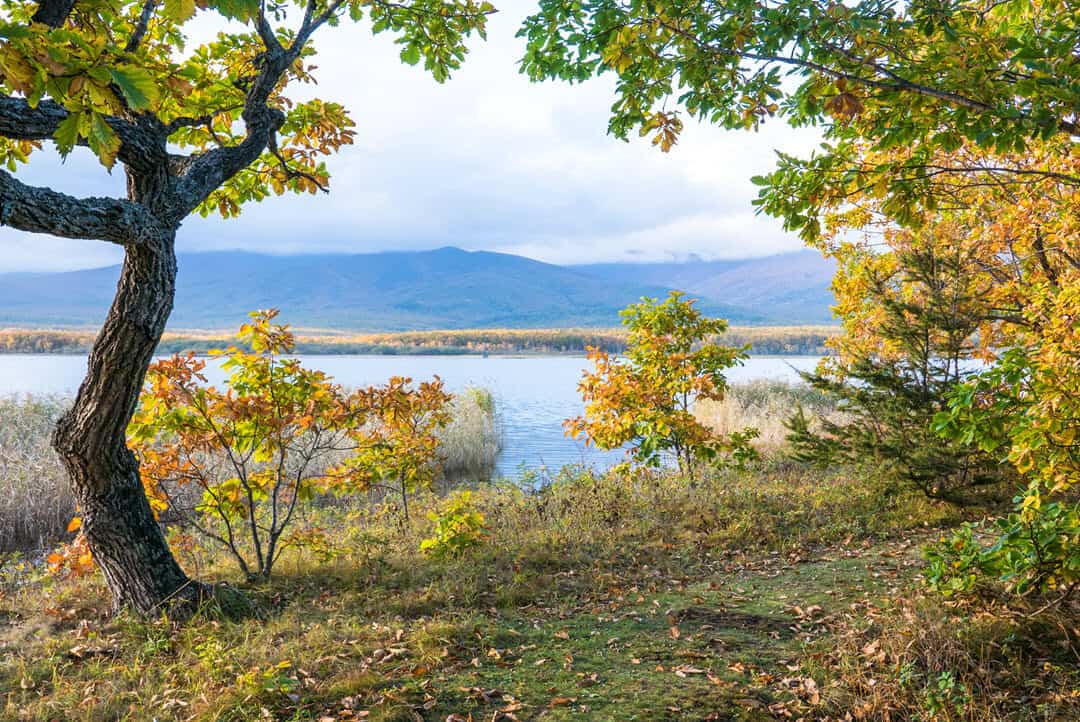 Sikhote-alin biosphere reserve Russia