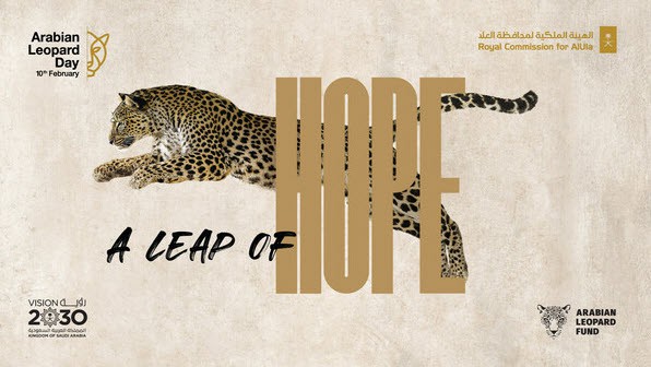 2024 International Arabian Leopard Day