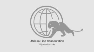 african lion group conservation list