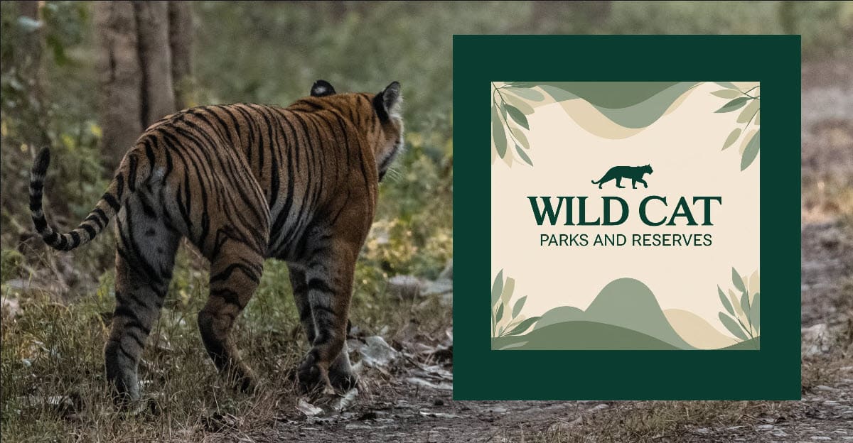 Wild cat parks and reserves list