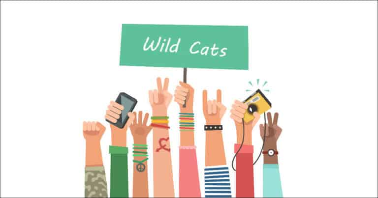 youth wild cat programs