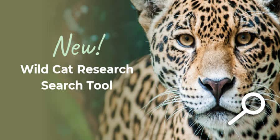 Wild cat research and report finder tool