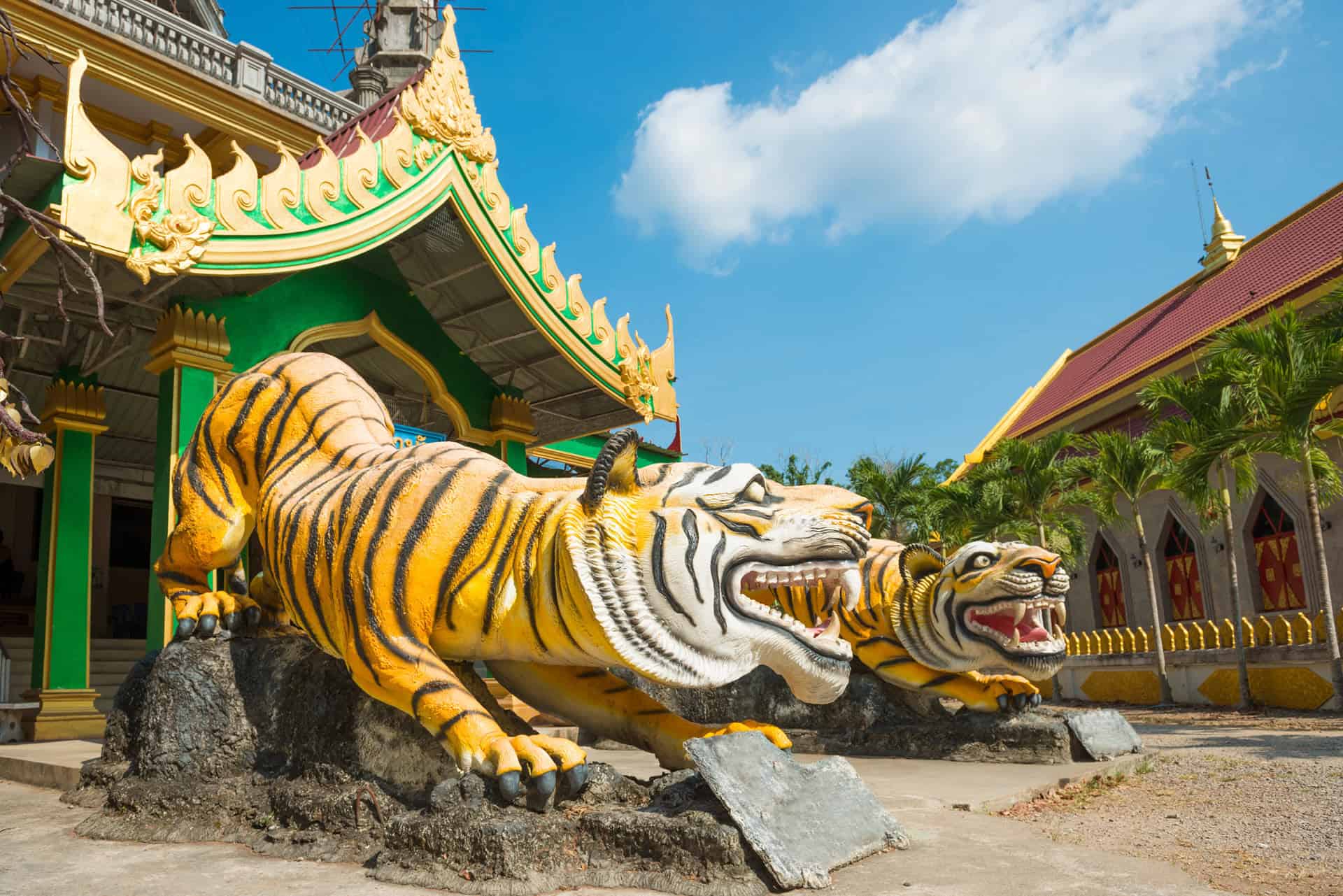 tigers at entrance to buddhist pagoda