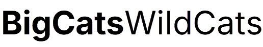 BigCatsWildCats