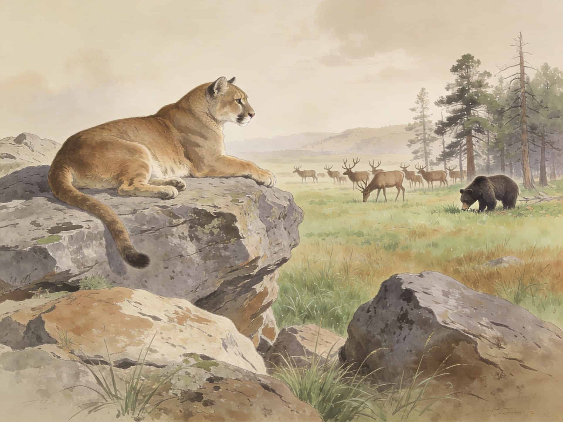 wildlife conservation in yellowstone national park