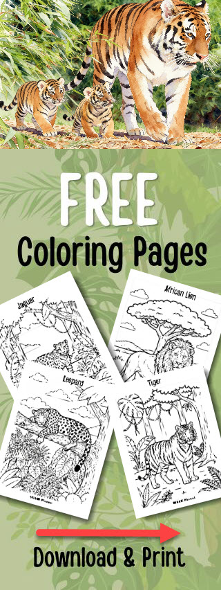 BigCats Free Coloring Pages