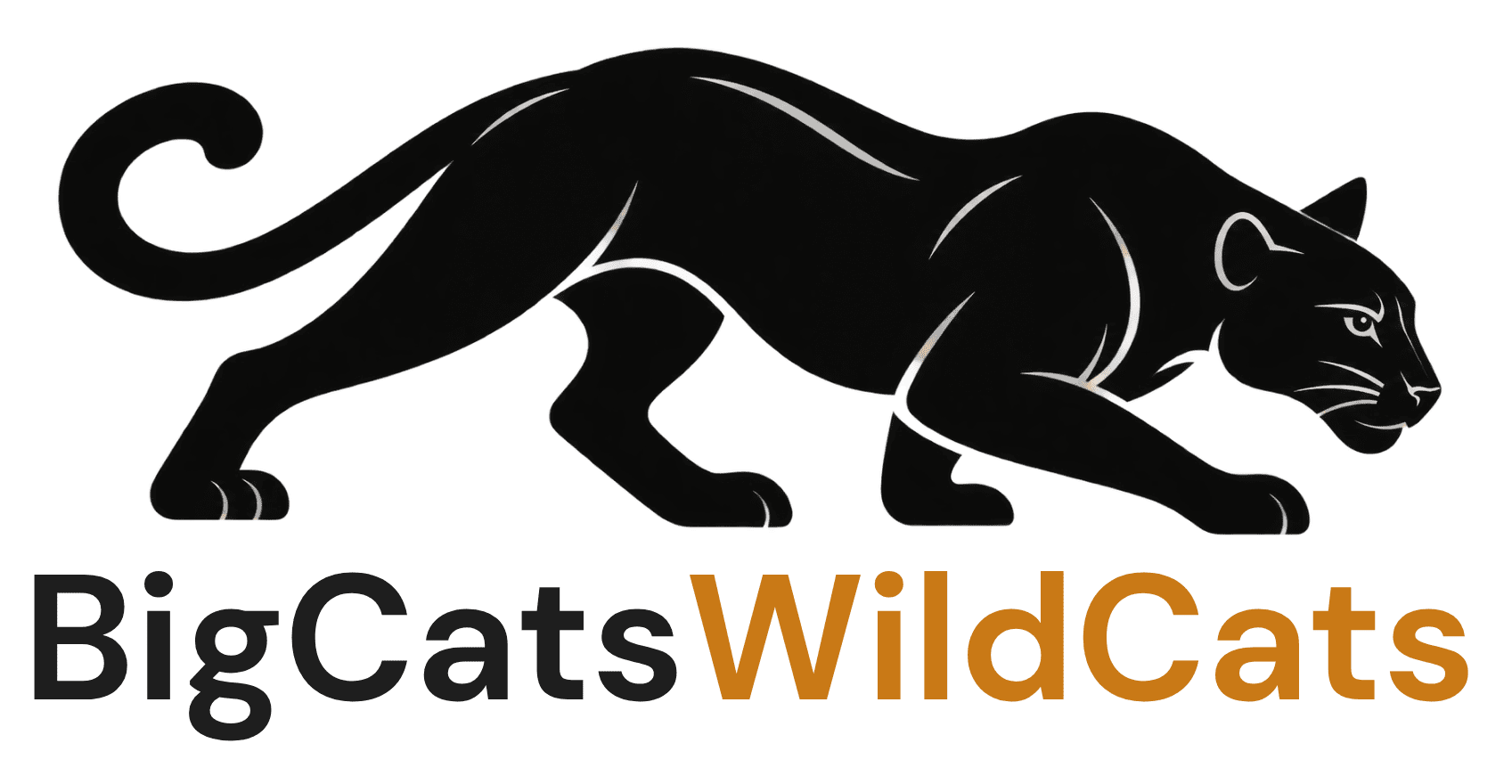 the bigcats wildcats site logo